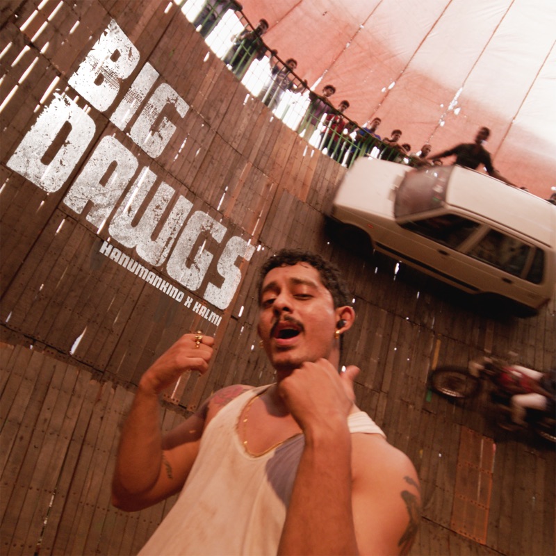 Meaning Of Song Big Dawgs By Hanumankind Kalmi meaning-of-song-big-dawgs-by-hanumankind-kalmi